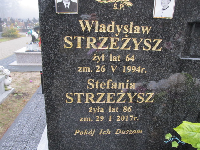 Stefania Strzeżysz 1931 Kołbiel - Grobonet - Wyszukiwarka osób pochowanych