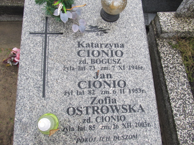 Zofia Ostrowska Kołbiel - Grobonet - Wyszukiwarka osób pochowanych