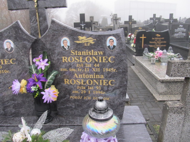Antonina Rosłoniec Kołbiel - Grobonet - Wyszukiwarka osób pochowanych
