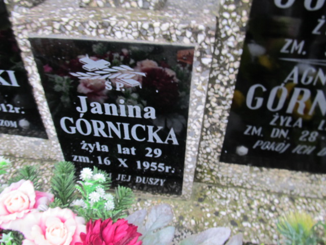 Janina Górnicka Kołbiel - Grobonet - Wyszukiwarka osób pochowanych