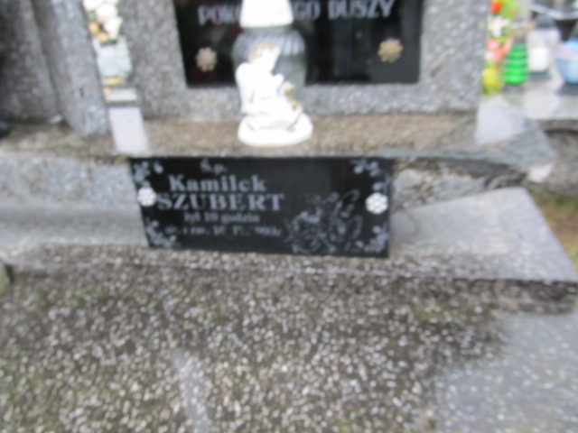 Michał Skolimowski Kołbiel - Grobonet - Wyszukiwarka osób pochowanych