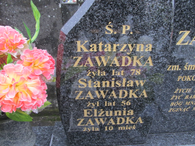 Tomasz Zawadka Kołbiel - Grobonet - Wyszukiwarka osób pochowanych