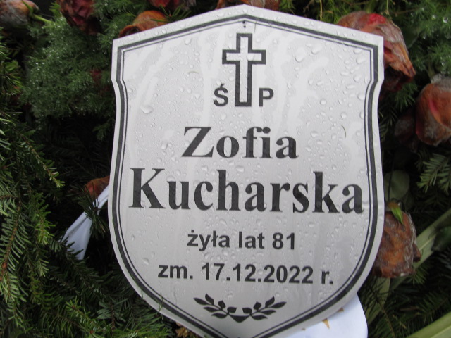 Piotr Drabarek 2011 Kołbiel - Grobonet - Wyszukiwarka osób pochowanych