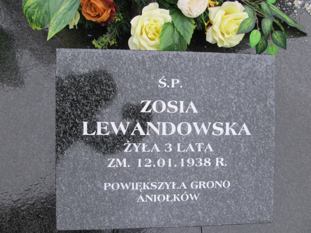 Stanisław Rybka Kołbiel - Grobonet - Wyszukiwarka osób pochowanych