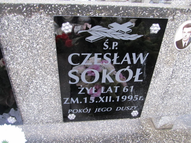 Czesław Sokół Kołbiel - Grobonet - Wyszukiwarka osób pochowanych