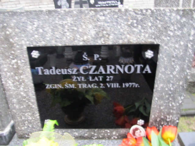 Tadeusz Czarnota Kołbiel - Grobonet - Wyszukiwarka osób pochowanych